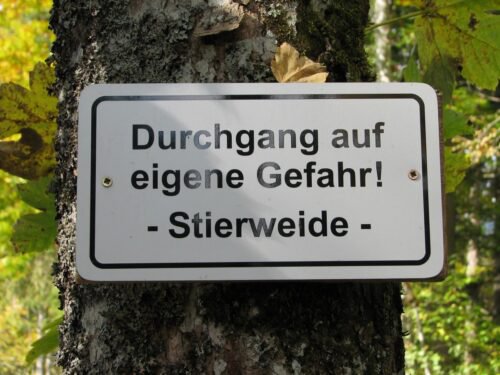 Інвентаризація лісів по-німецьки