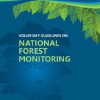 VOLUNTARY GUIDELINES ON NATIONAL FOREST MONITORING